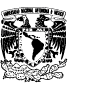 logo UNAM